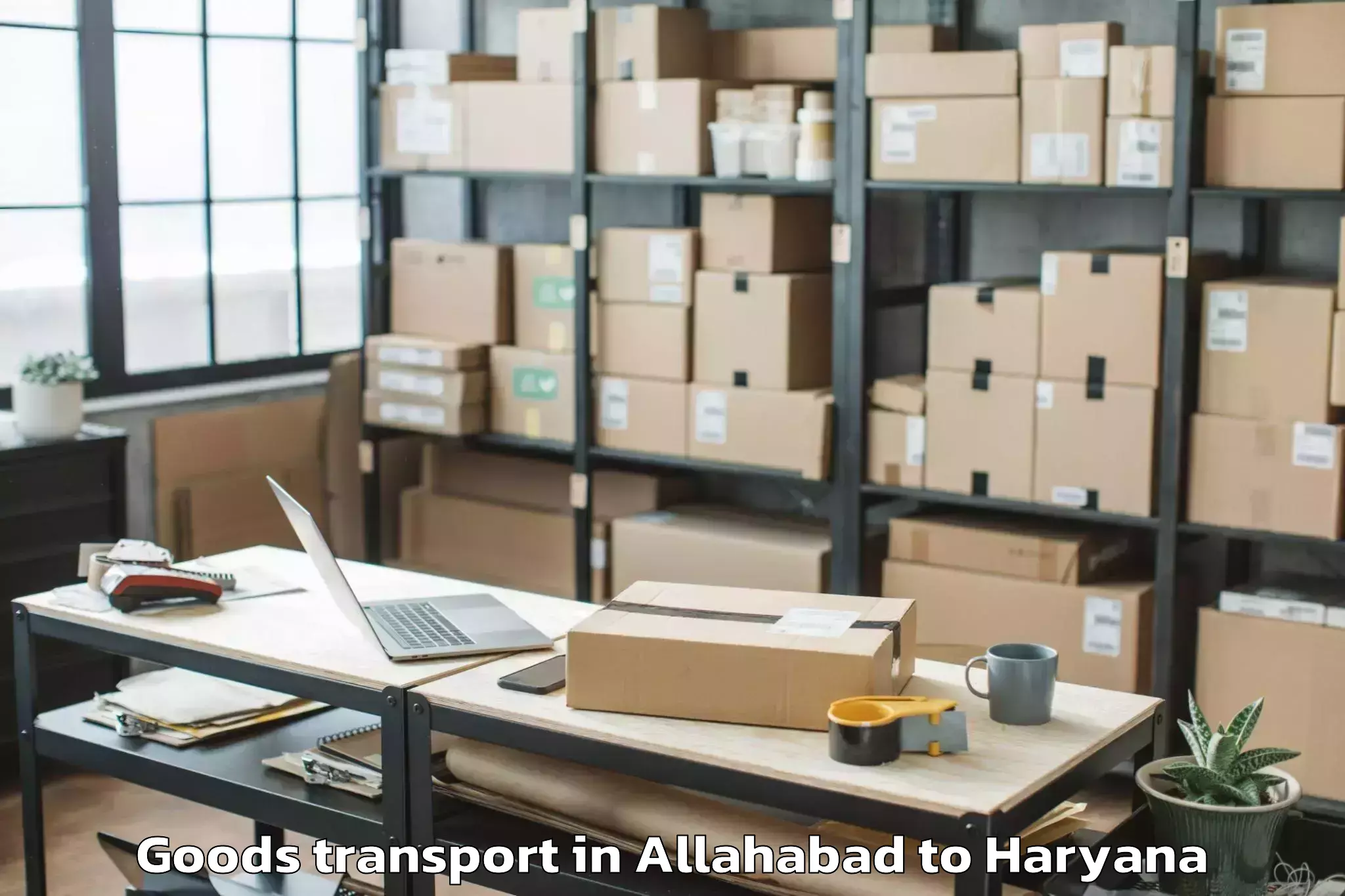 Easy Allahabad to Eros Ef3 Mall Goods Transport Booking